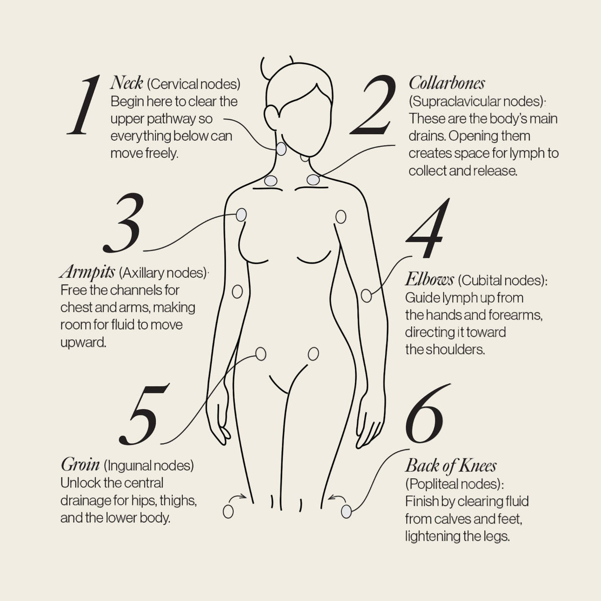 Lymphatic Drainage Dots