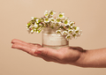 Rosewater Cream Radiance Enhancing Moisturizer